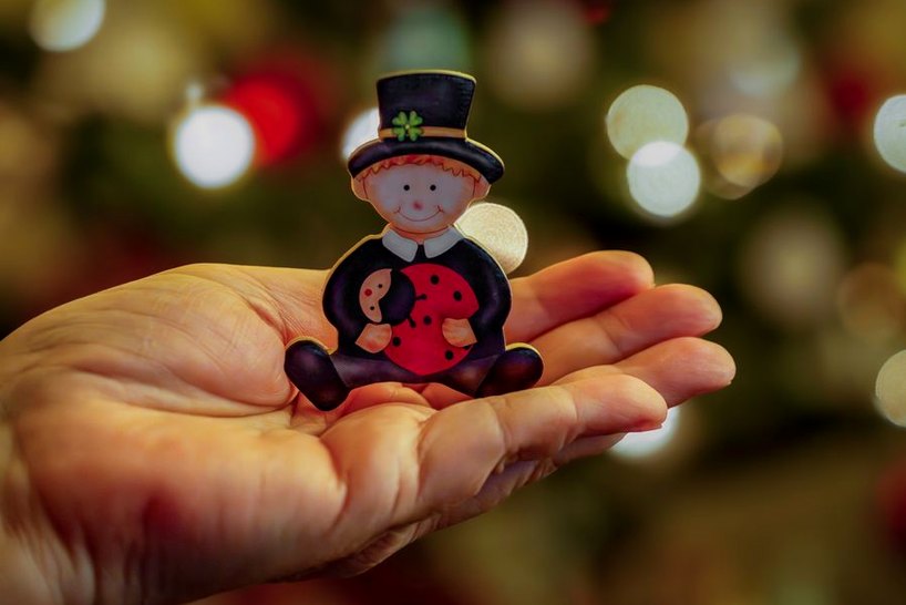 primary New88